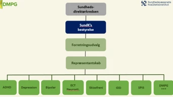 DMPG organisationsdiagram der viser Sundhedskredsdirektørkredsen over SundK's bestyrelse over Forretningsudvalget over Repræsentantskab over de individuelle DMPG'er